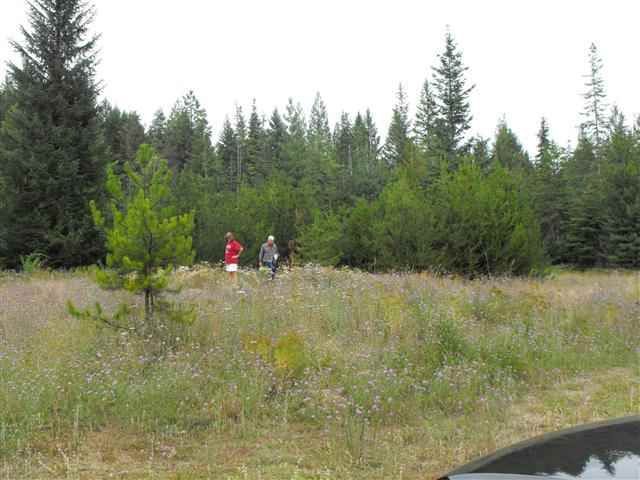 935 Balcom Road Newport, WA 99156 - Photo 7 of 10 Gallery Image 7
