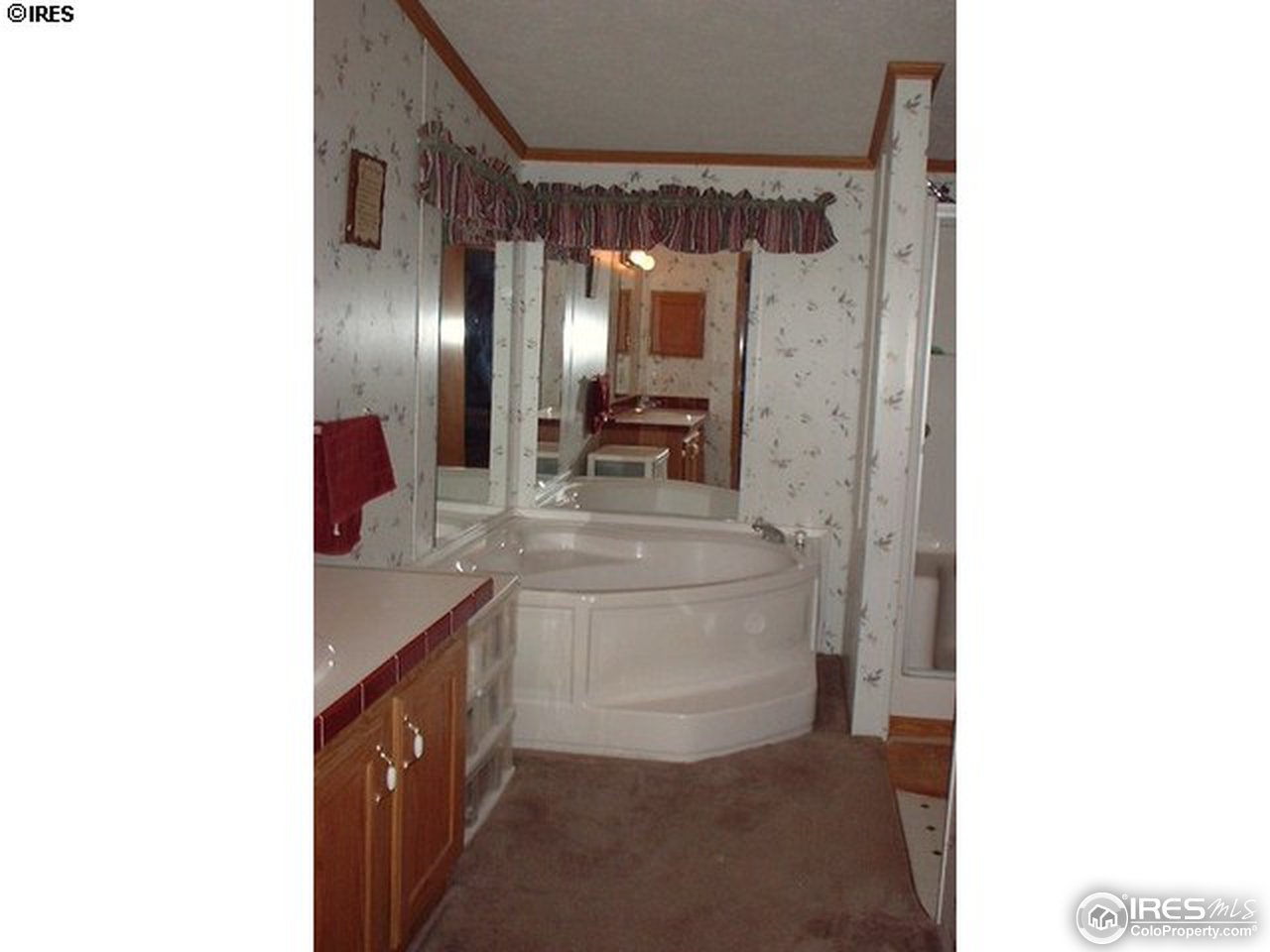 108 East Douglas Road Fort Collins, CO 80524 - Photo 6 of 12 a bathroom with a granite countertop sink and a mirror