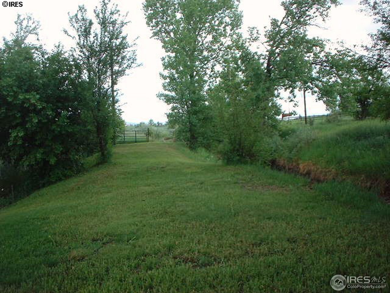 108 East Douglas Road Fort Collins, CO 80524 - Photo 9 of 12 a view of a lush green space