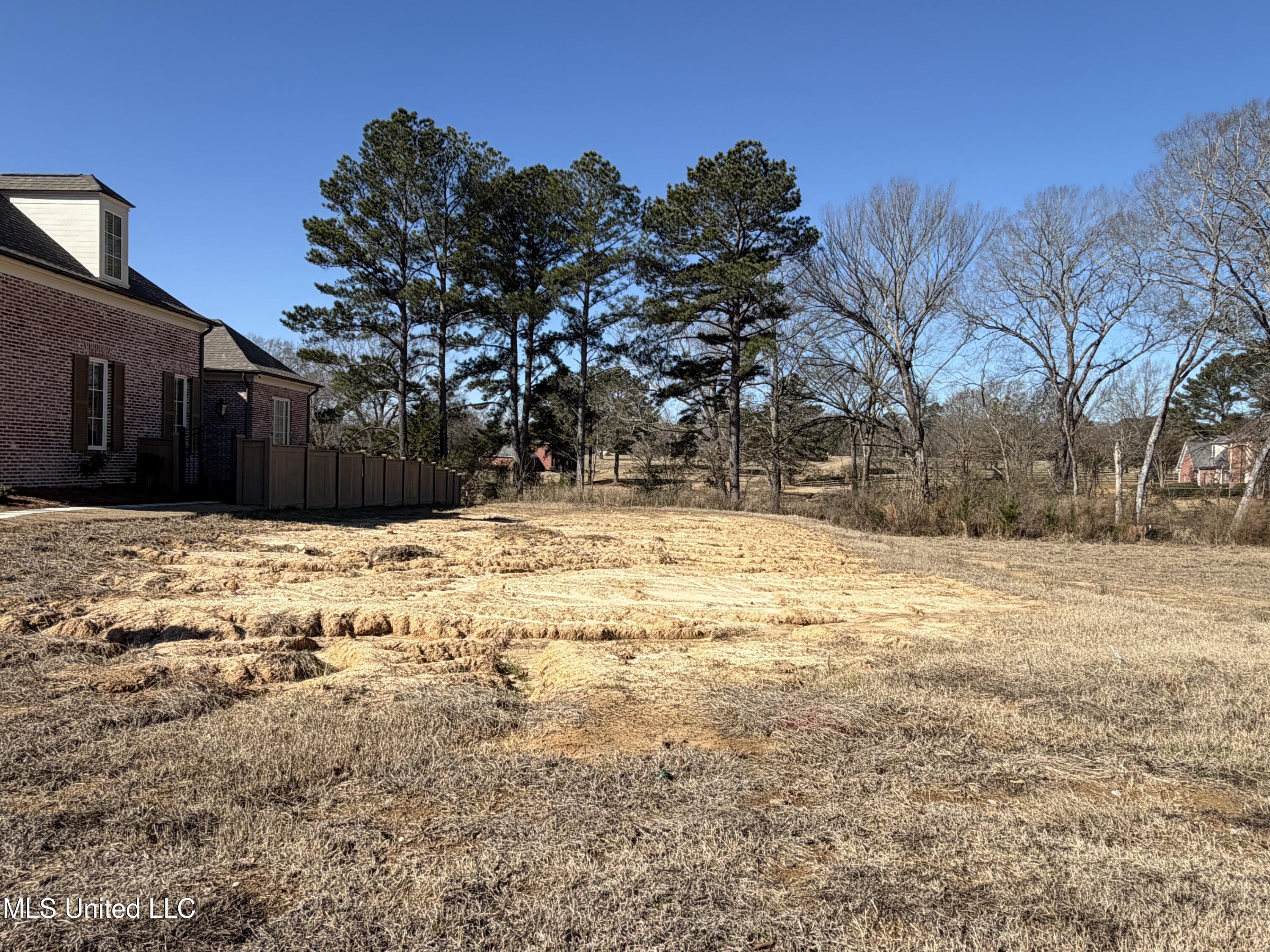 131 Commonwealth Drive Madison, MS 39110 - Photo 2 of 7 Lot 33