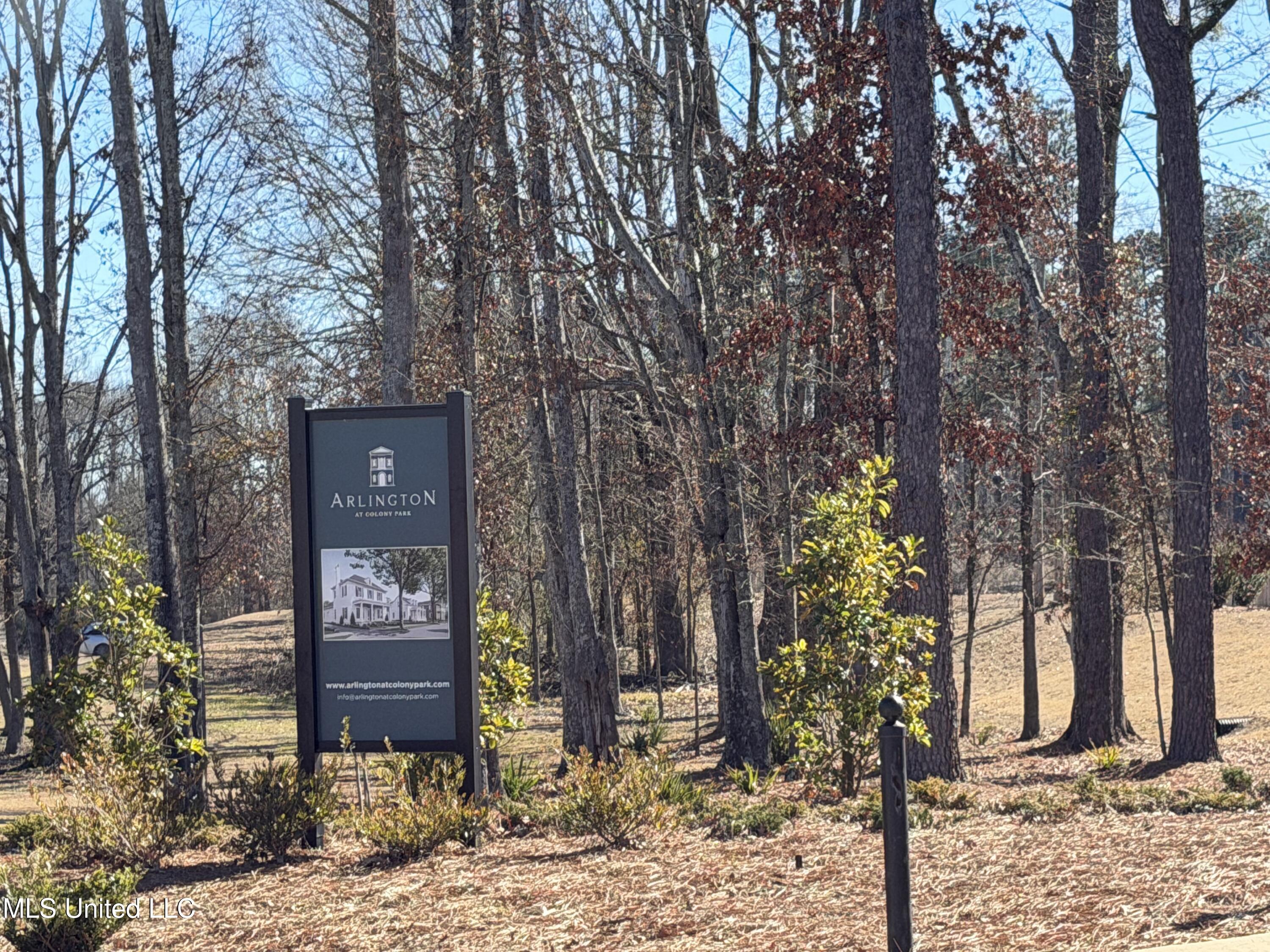 131 Commonwealth Drive Madison, MS 39110 - Photo 3 of 7 IMG_1813