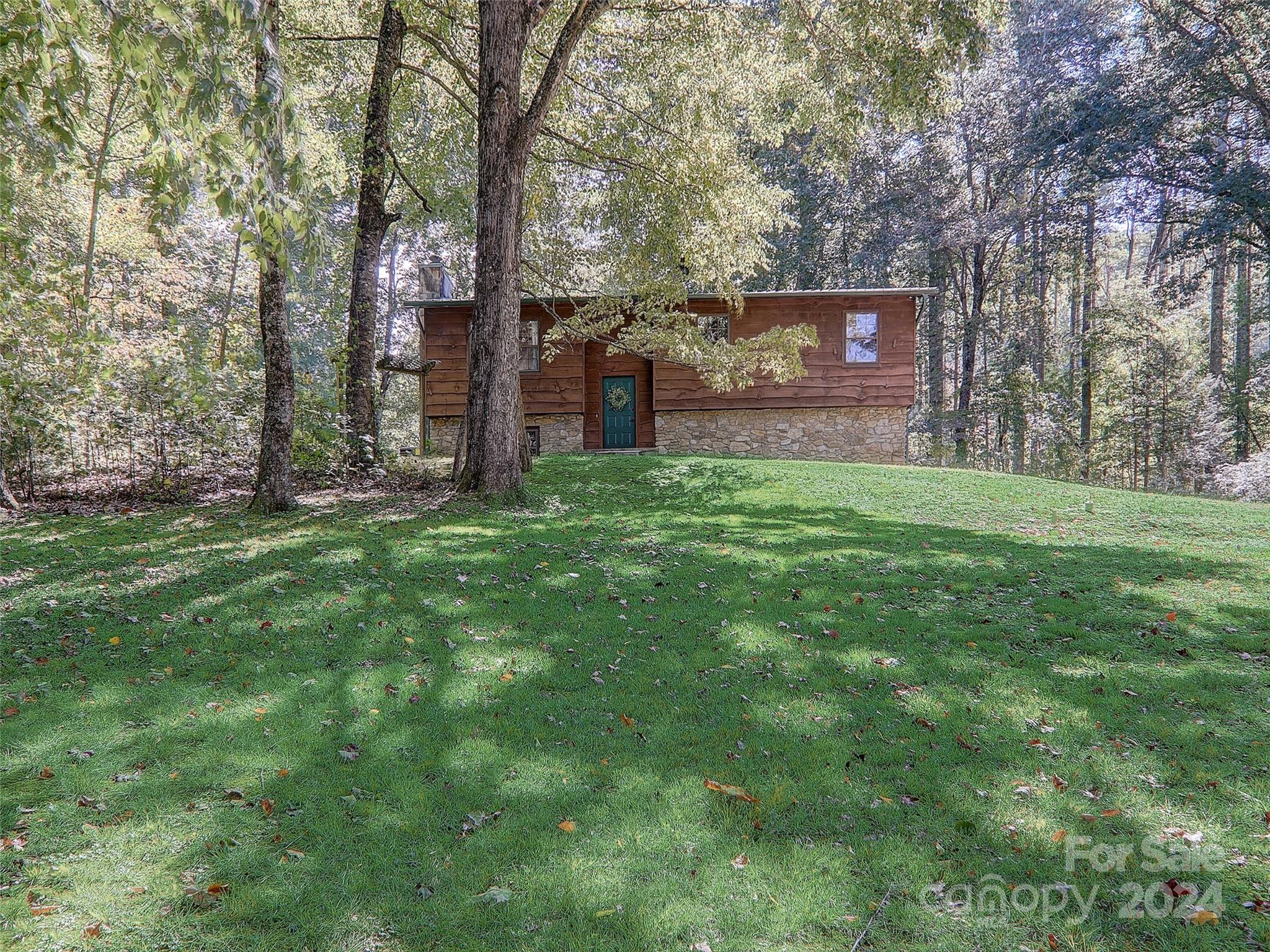 1191 Dupont Road Hendersonville, NC 28739 - Photo 1 of 48 a view of a yard with a house and large trees