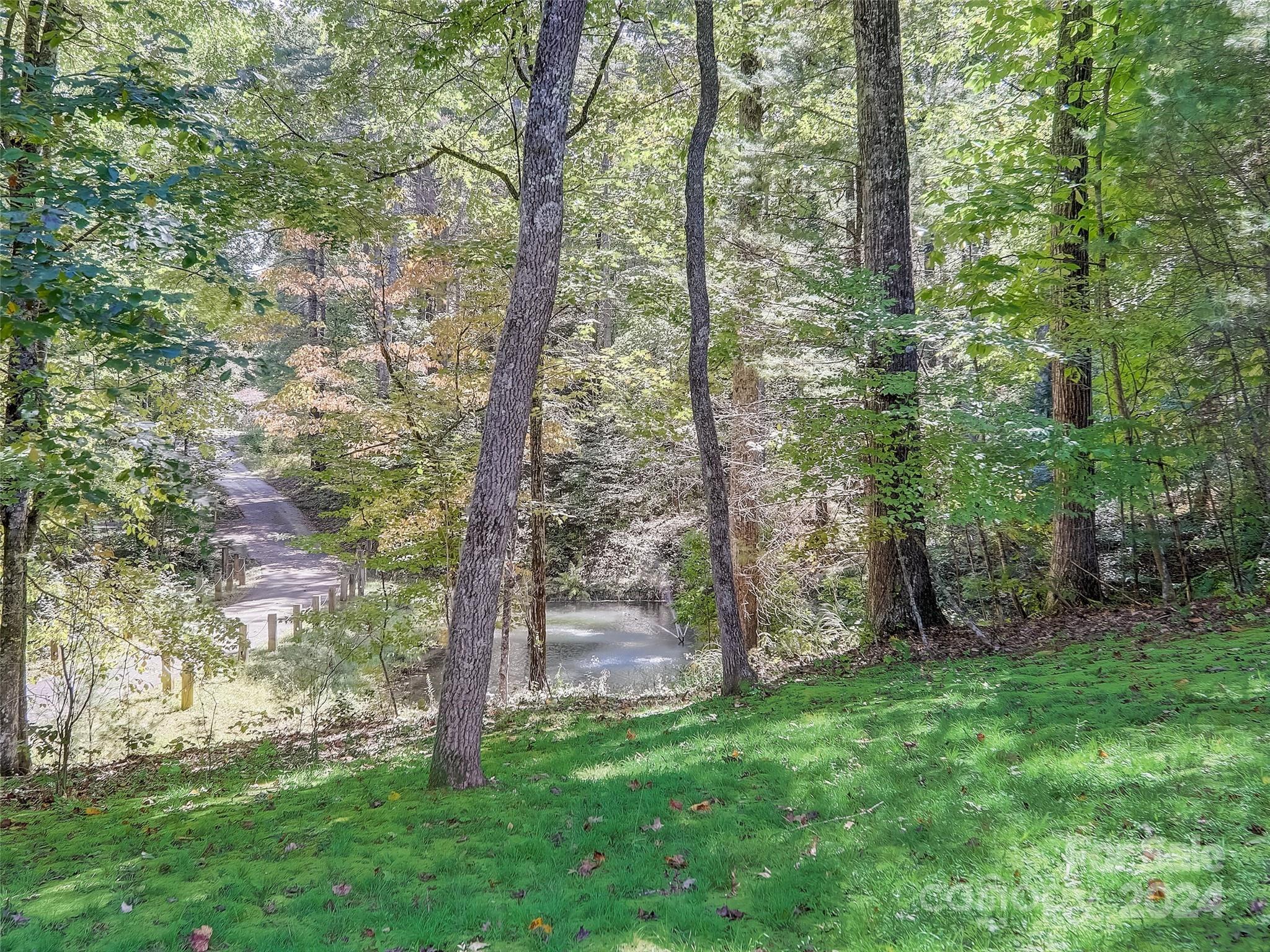 1191 Dupont Road Hendersonville, NC 28739 - Photo 29 of 48 a view of a trees with a yard