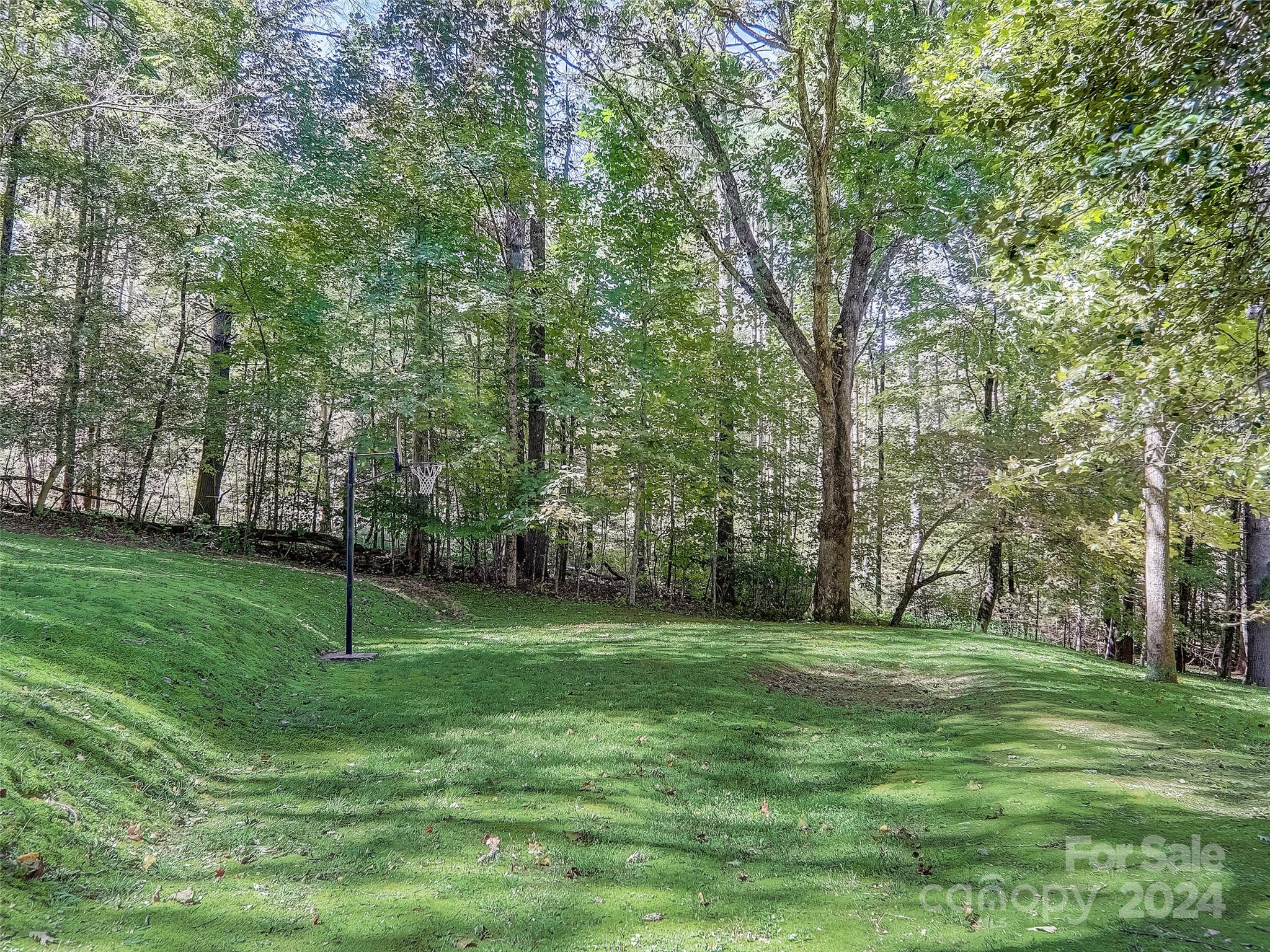 1191 Dupont Road Hendersonville, NC 28739 - Photo 38 of 48 a view of a park with large trees