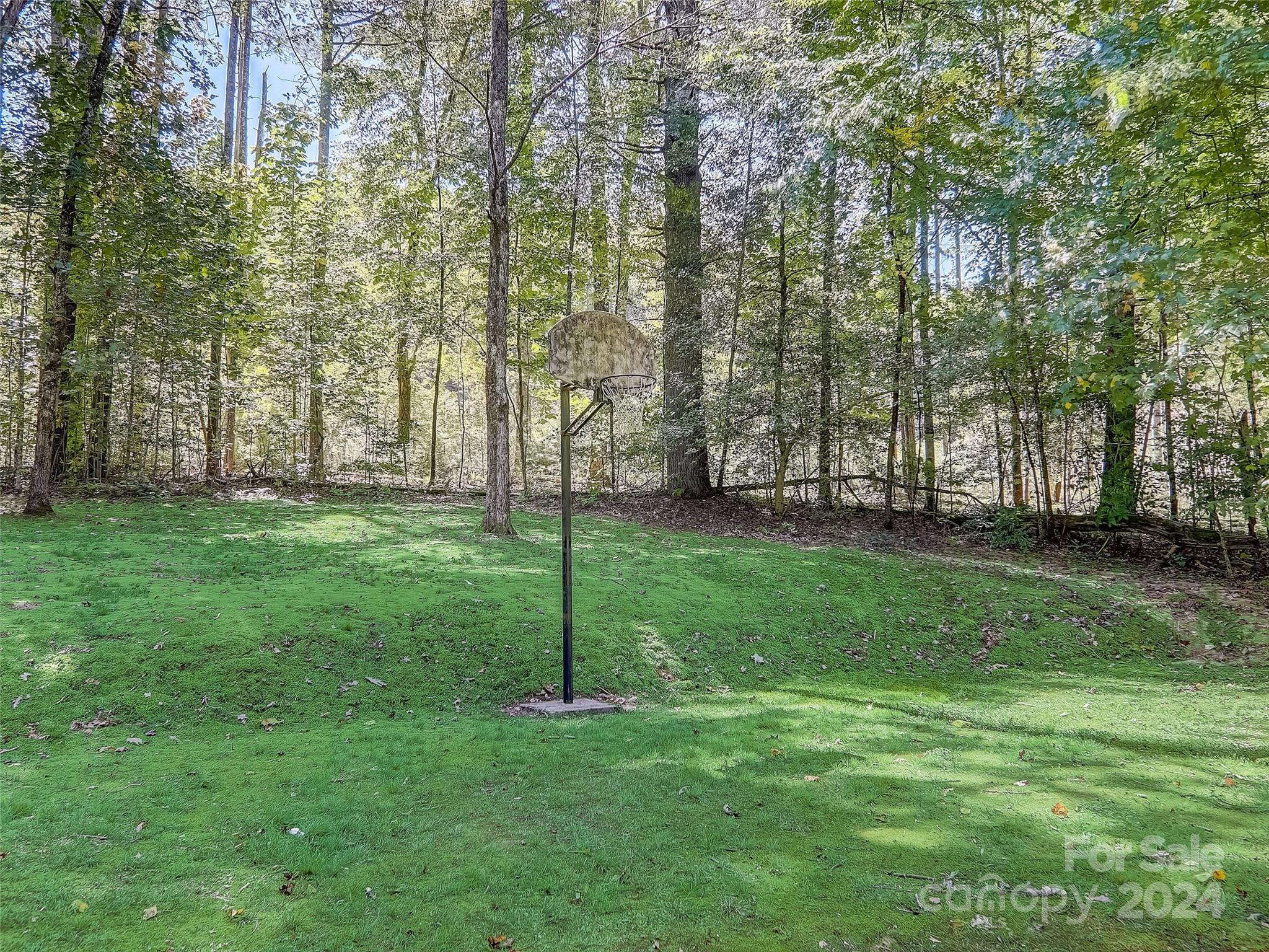 1191 Dupont Road Hendersonville, NC 28739 - Photo 39 of 48 a view of a backyard with large trees