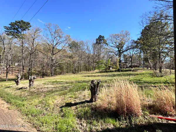 $42,000 | Eldorado Cove, Pearl, MS 39208