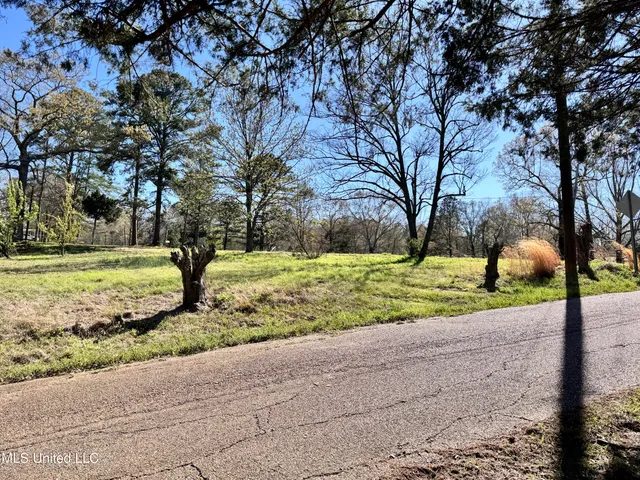 $42,000 | Eldorado Cove, Pearl, MS 39208