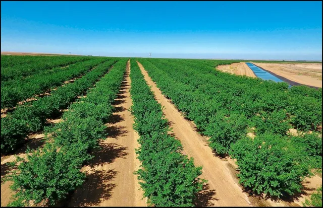 a view of a lake with a outdoor space