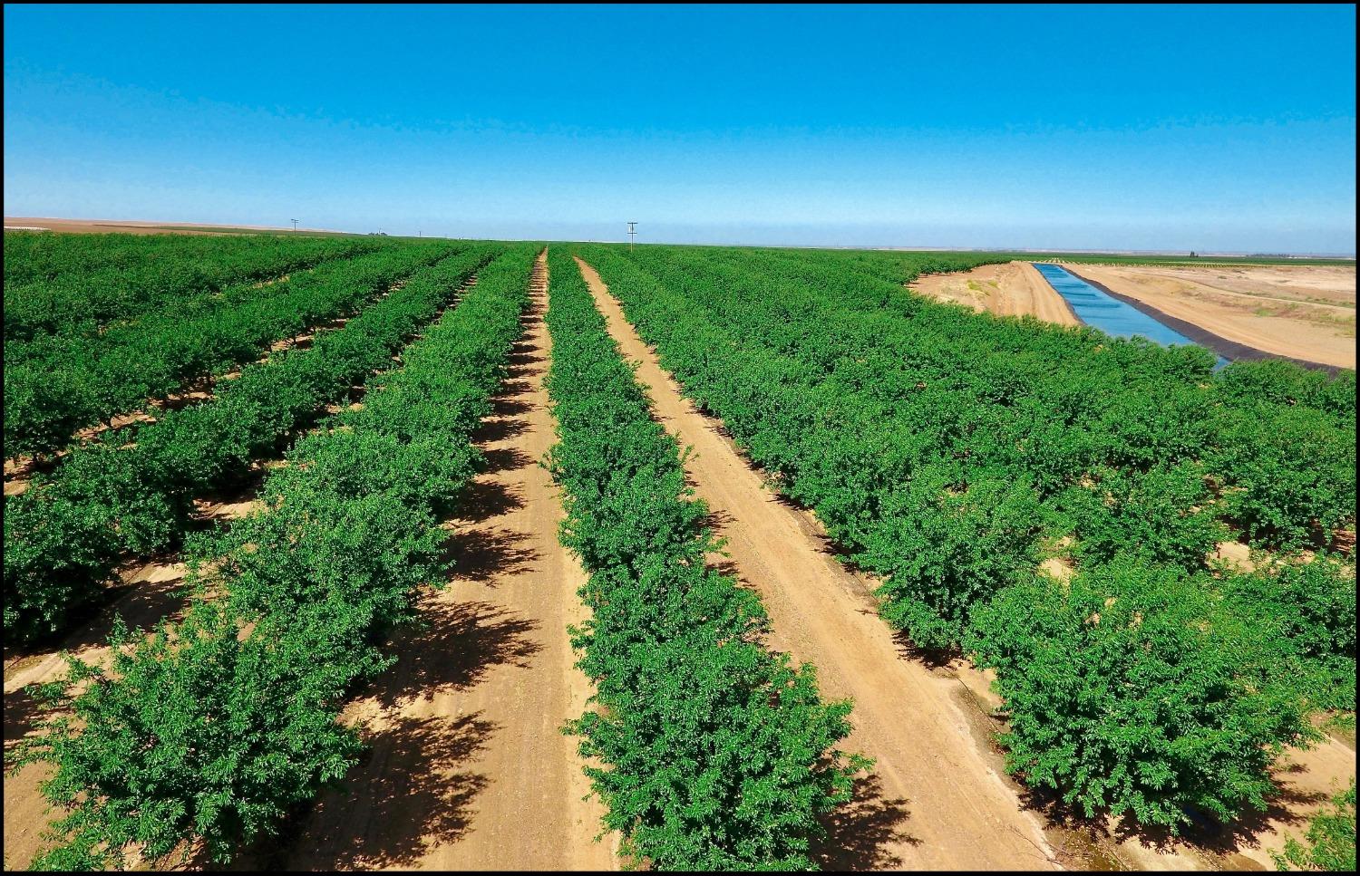 0 Little Panoche Road Firebaugh, CA 93622 - Photo 2 of 6 a view of a lake with a outdoor space