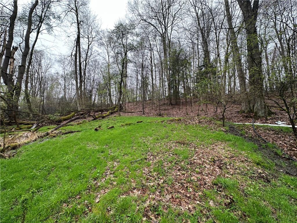 357 Pineville Road Grand Valley, PA 16420 - Photo 10 of 20 Gallery Image 10