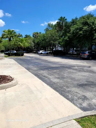 a park view with palm trees