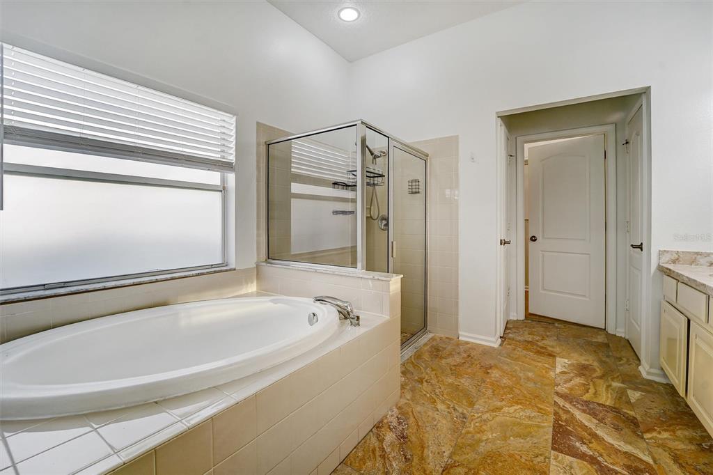 19111 Fern Meadow Loop Lutz, FL 33558 - Photo 17 of 47