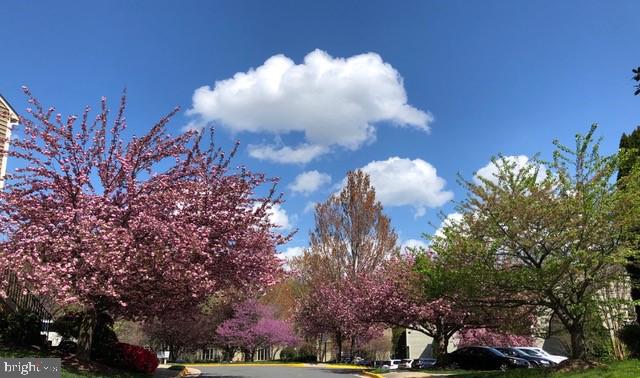 1224 Weatherstone Court Reston, VA 20194 - Photo 26 of 38 Beautiful neighborhood blooms
