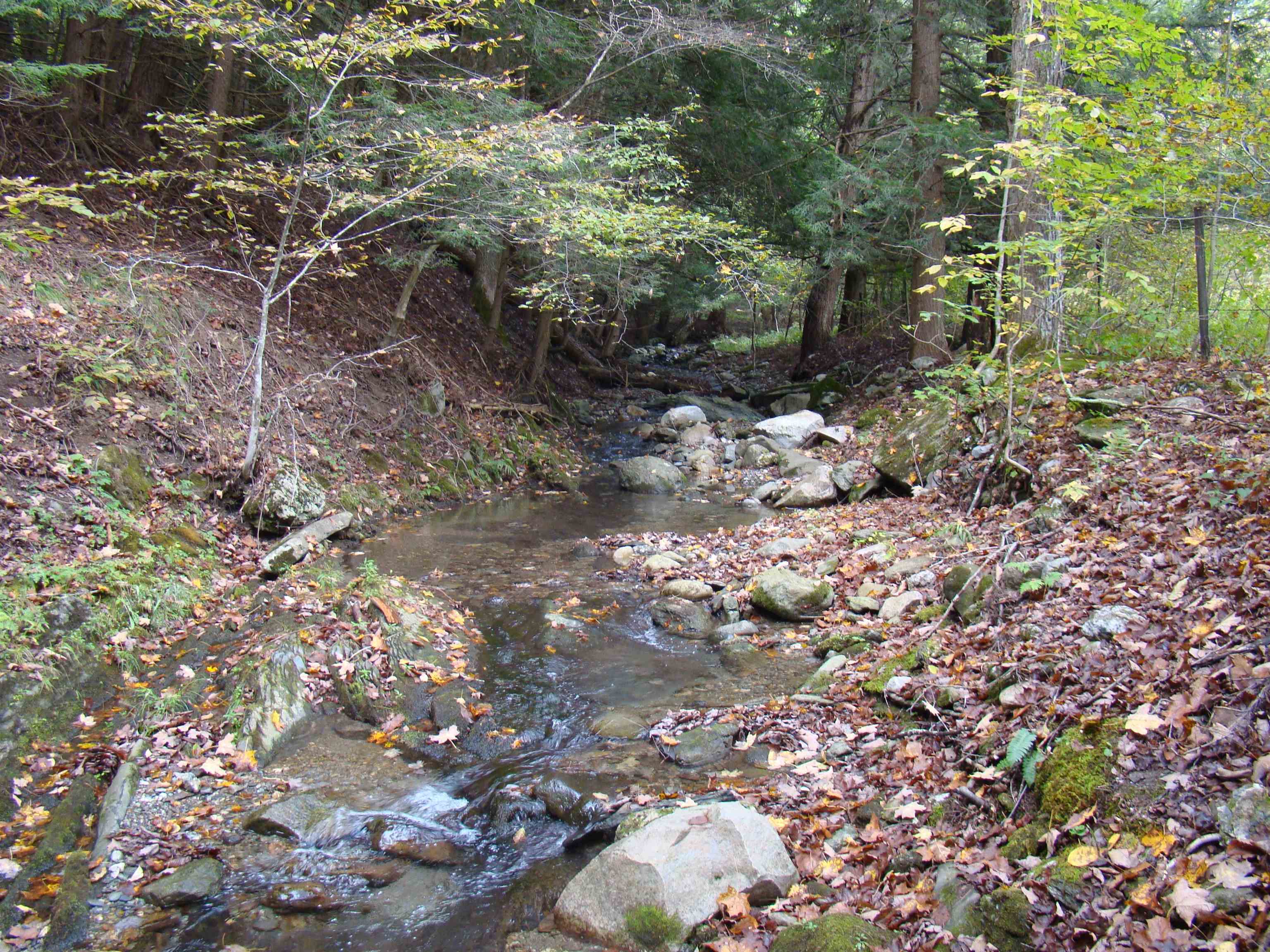 59 Waite Hill Road Pawlet, VT 05761 - Photo 11 of 31