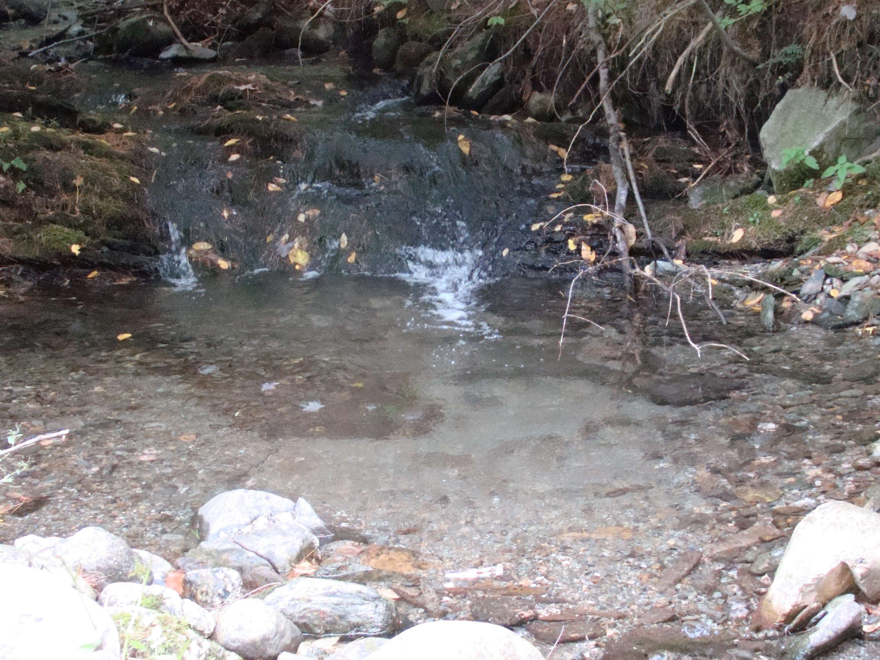 59 Waite Hill Road Pawlet, VT 05761 - Photo 12 of 31