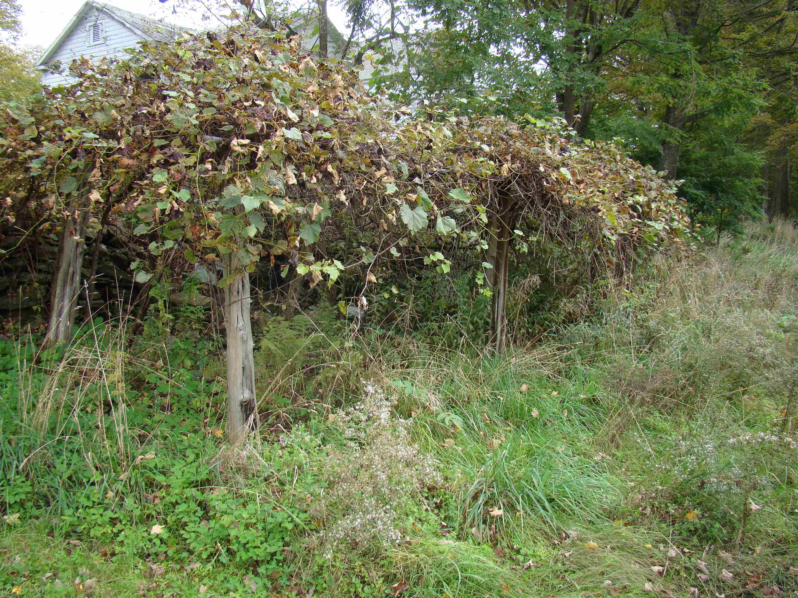59 Waite Hill Road Pawlet, VT 05761 - Photo 13 of 31