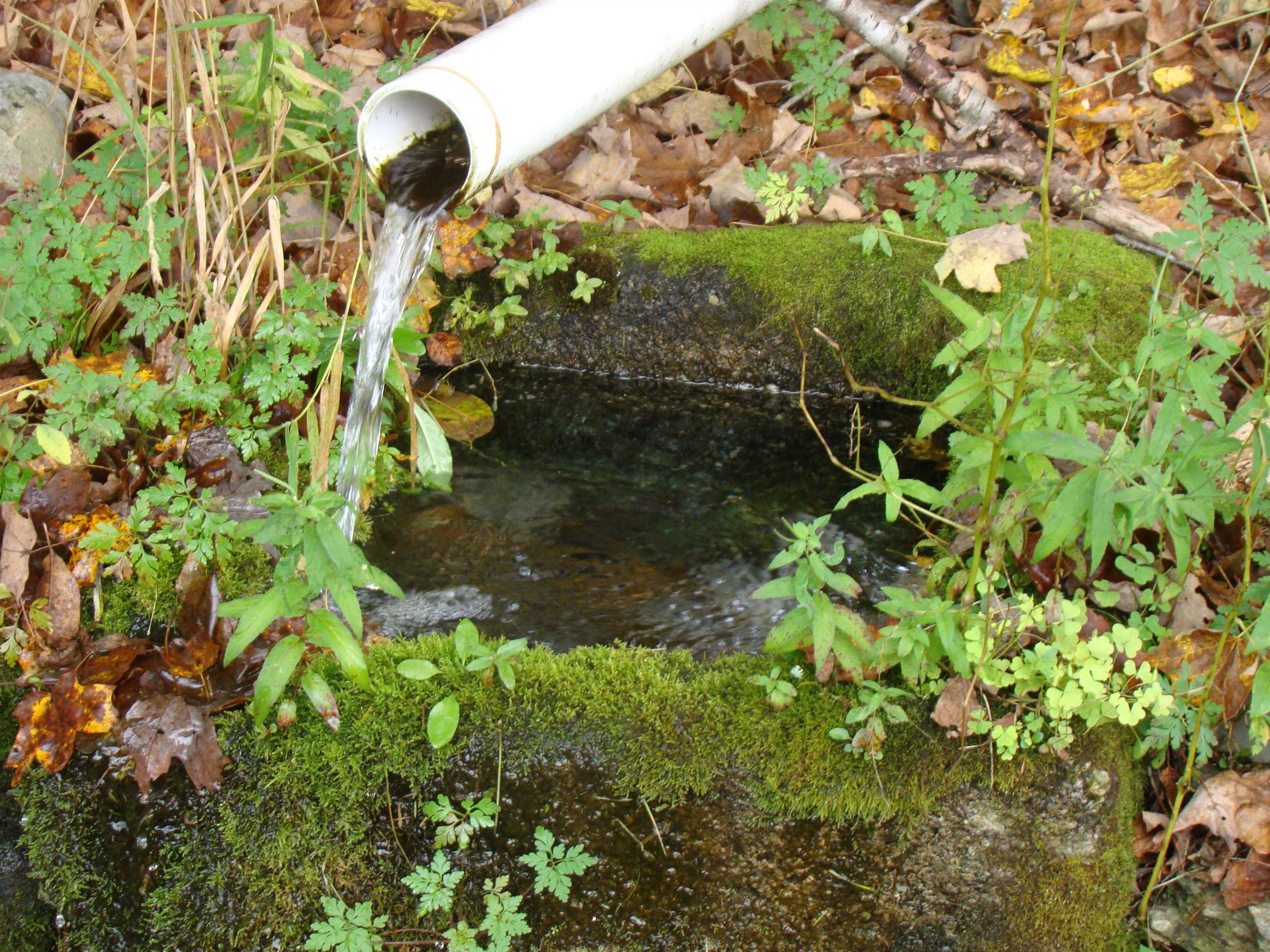 59 Waite Hill Road Pawlet, VT 05761 - Photo 14 of 31