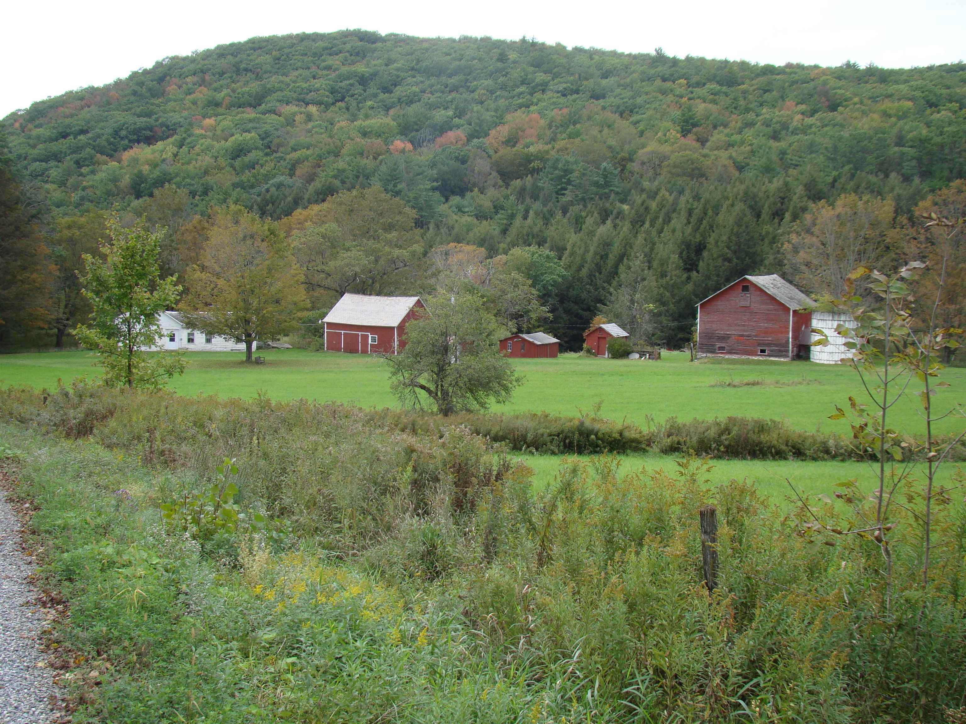59 Waite Hill Road Pawlet, VT 05761 - Photo 15 of 31