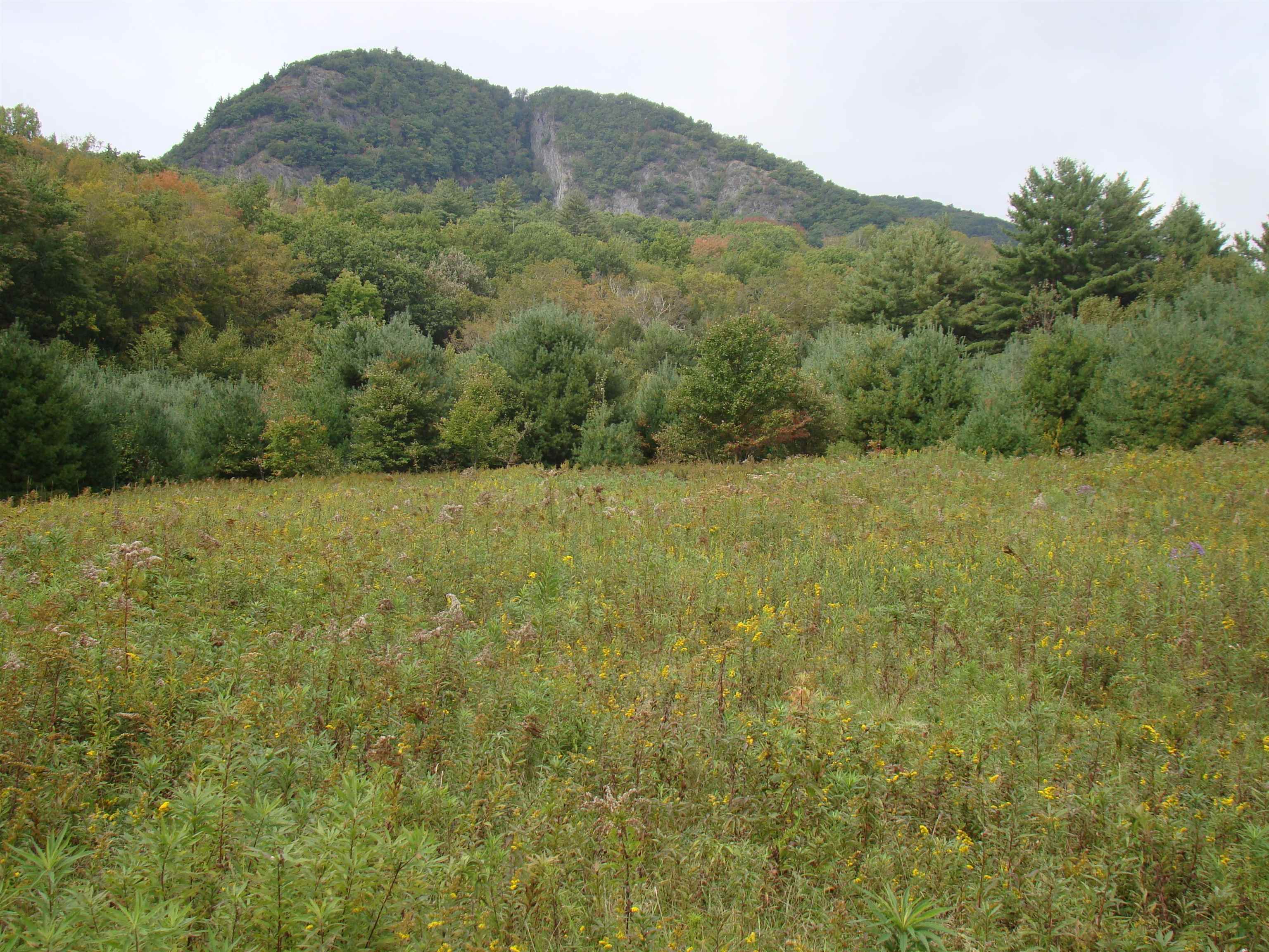59 Waite Hill Road Pawlet, VT 05761 - Photo 16 of 31