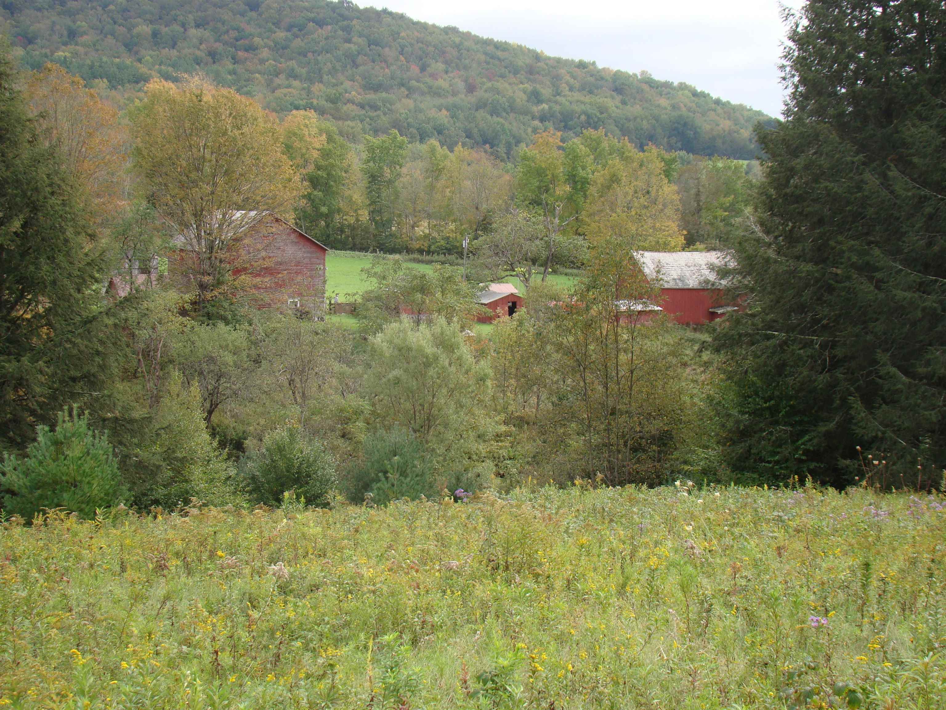 59 Waite Hill Road Pawlet, VT 05761 - Photo 17 of 31