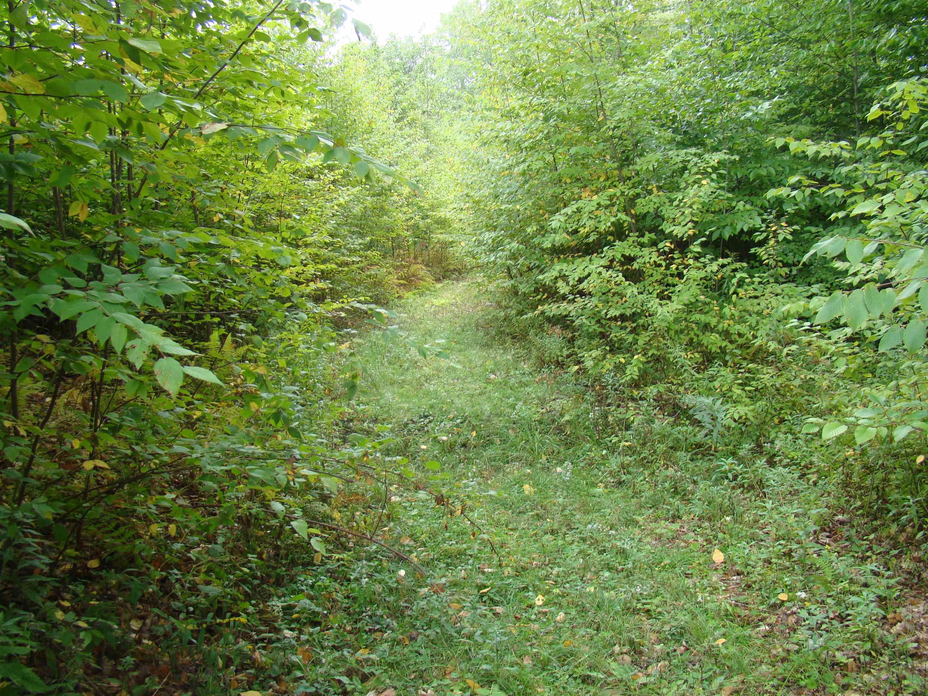 59 Waite Hill Road Pawlet, VT 05761 - Photo 23 of 31