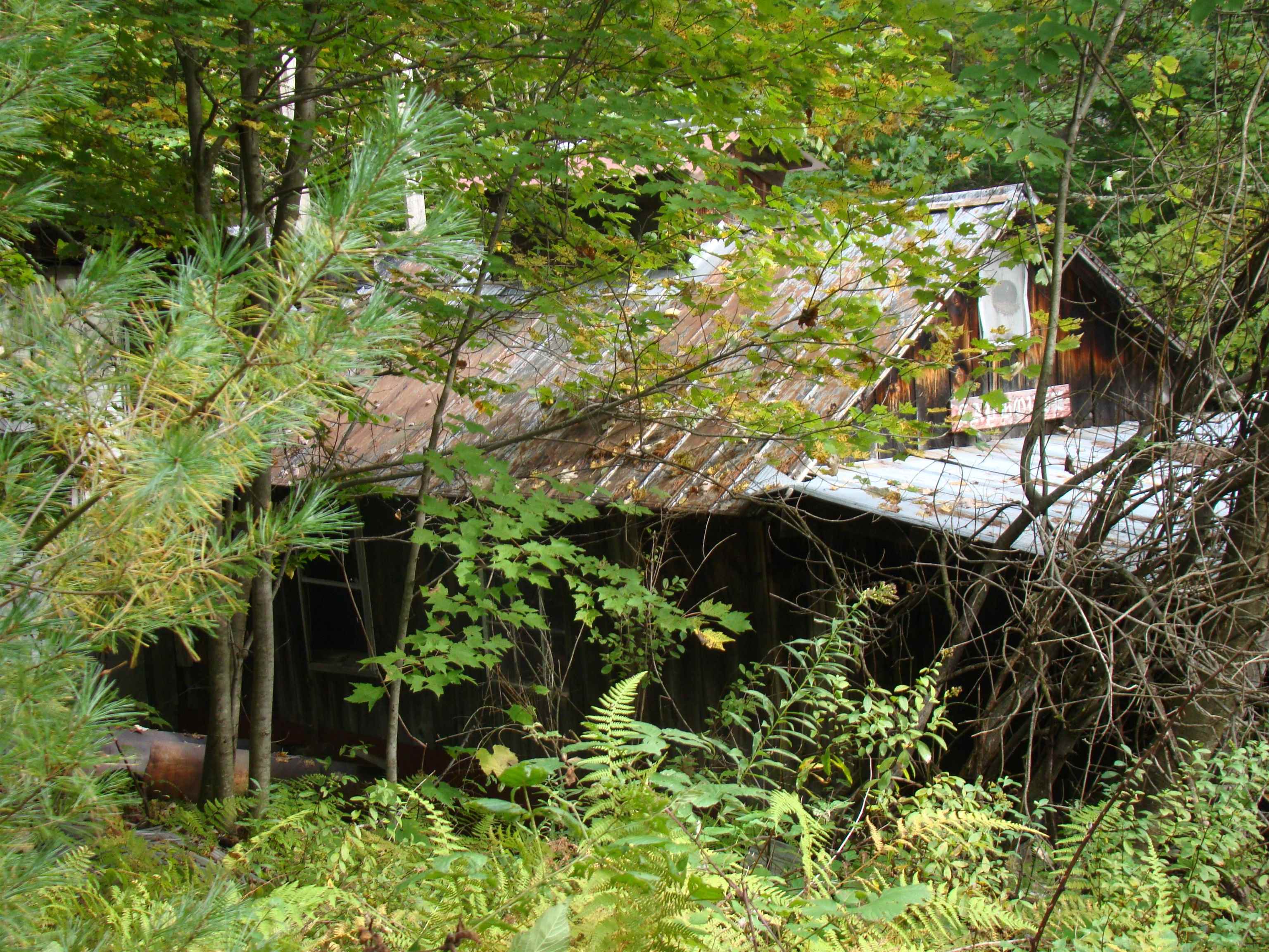 59 Waite Hill Road Pawlet, VT 05761 - Photo 26 of 31