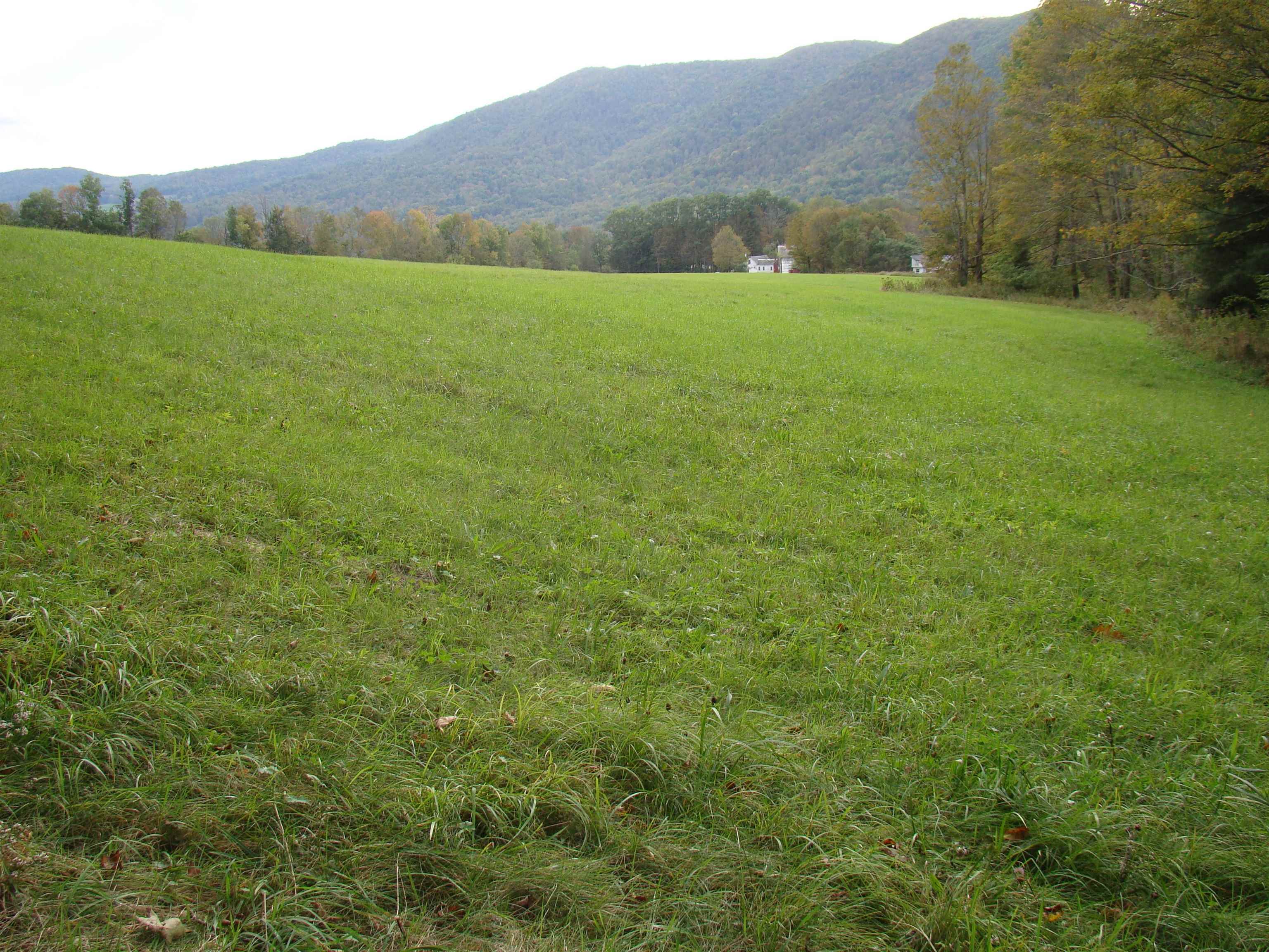 59 Waite Hill Road Pawlet, VT 05761 - Photo 28 of 31