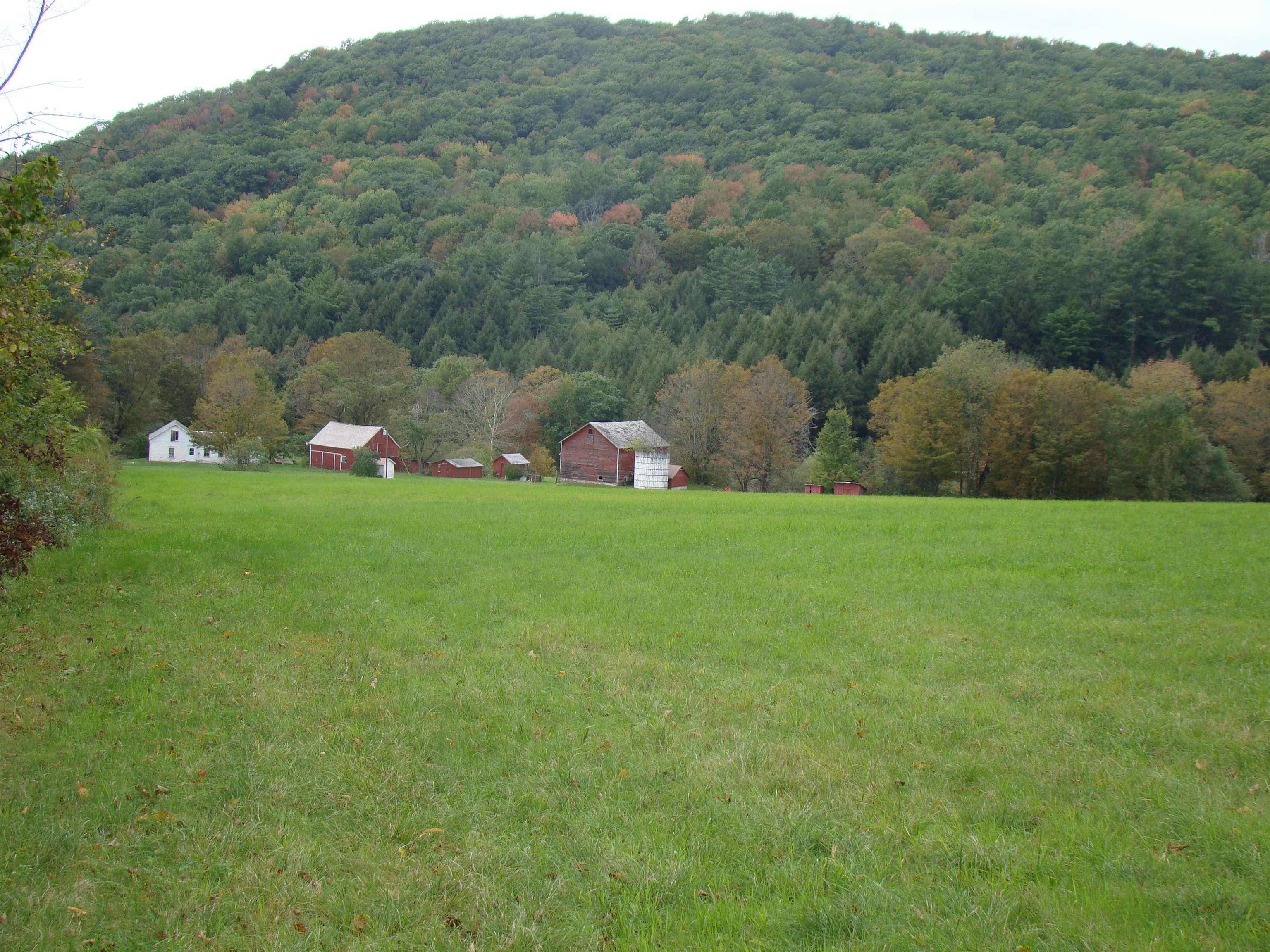 59 Waite Hill Road Pawlet, VT 05761 - Photo 8 of 31