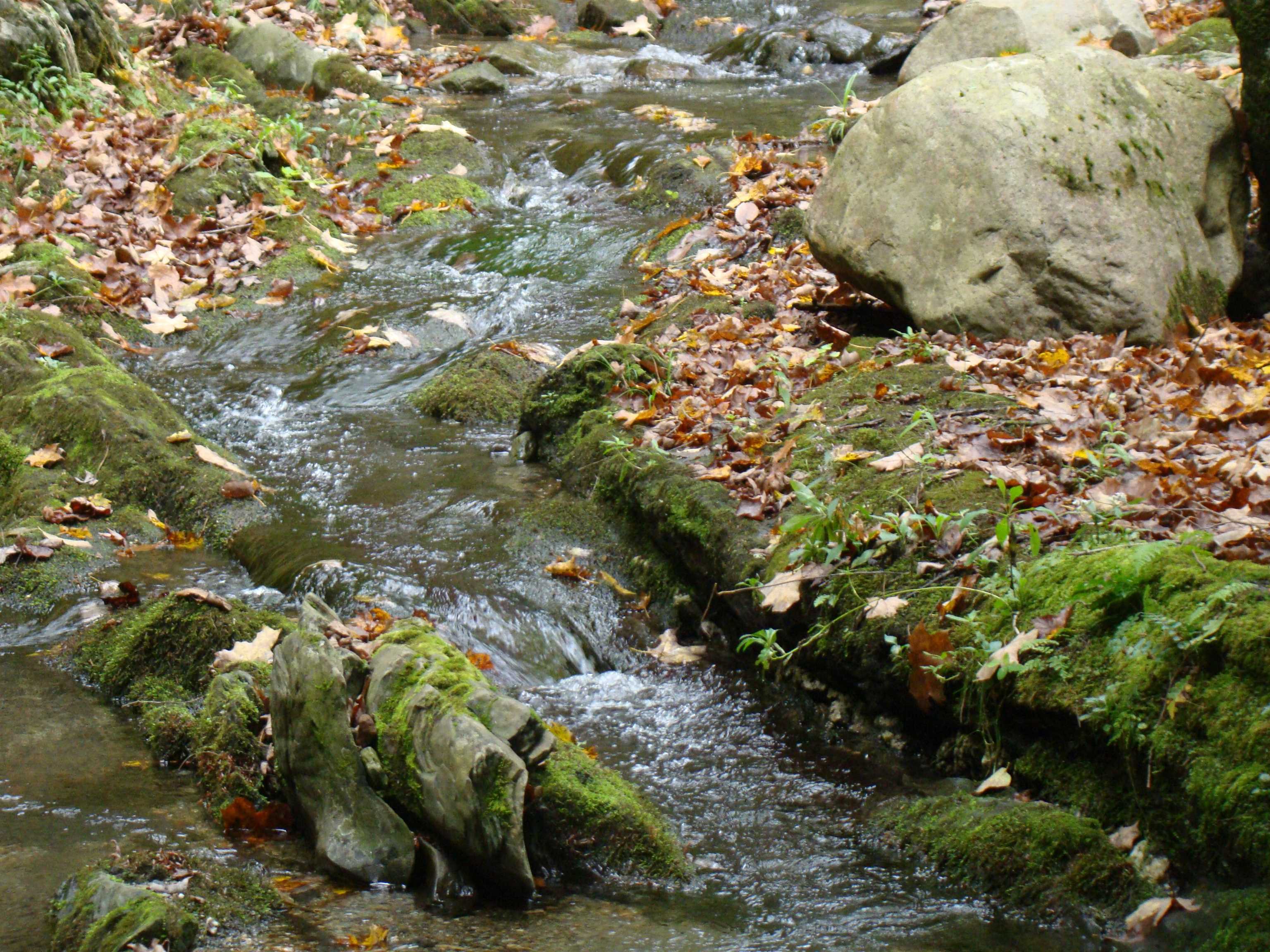 59 Waite Hill Road Pawlet, VT 05761 - Photo 10 of 31