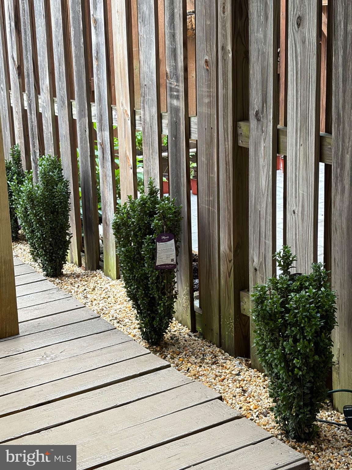 25333 Wakestone Terrace Chantilly, VA 20152 - Photo 60 of 109 Lush greenery along a wooden path.