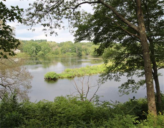91 Common Street Dedham, MA 02026 - Photo 15 of 23 Gallery Image 15