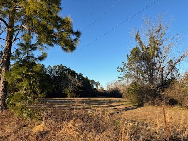 0 Centennial Road Coolidge, GA 31738 - Photo 12 of 17 Gallery Image 12