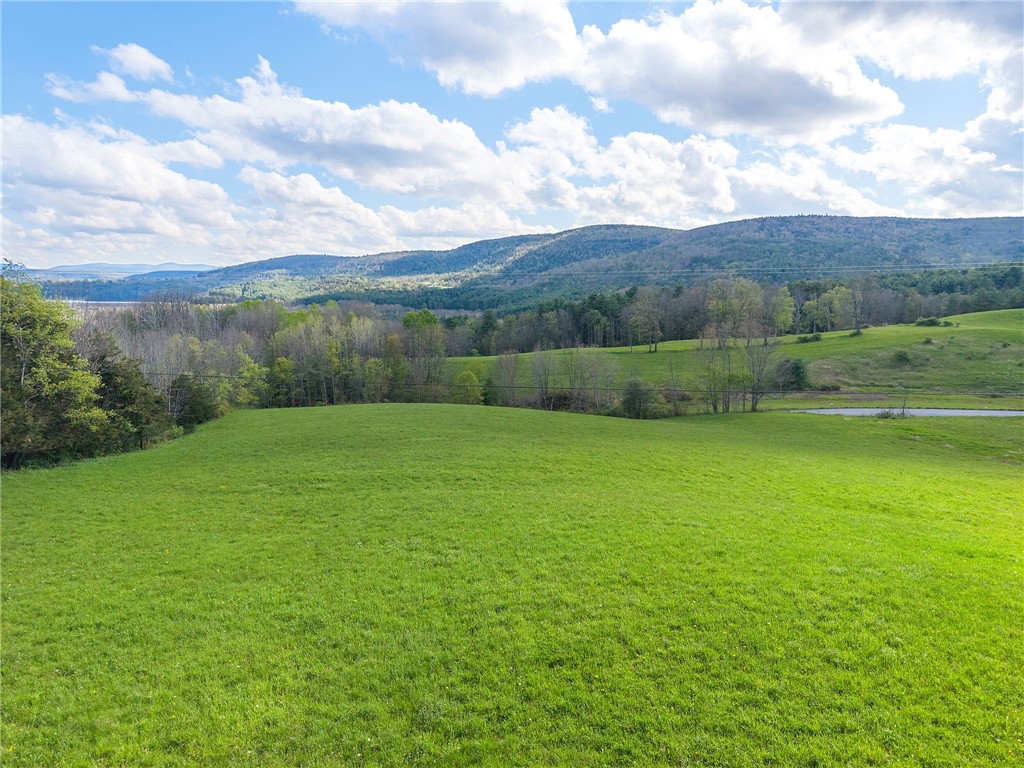 Westkill Road North Blenheim, NY 12131 - Photo 26 of 38