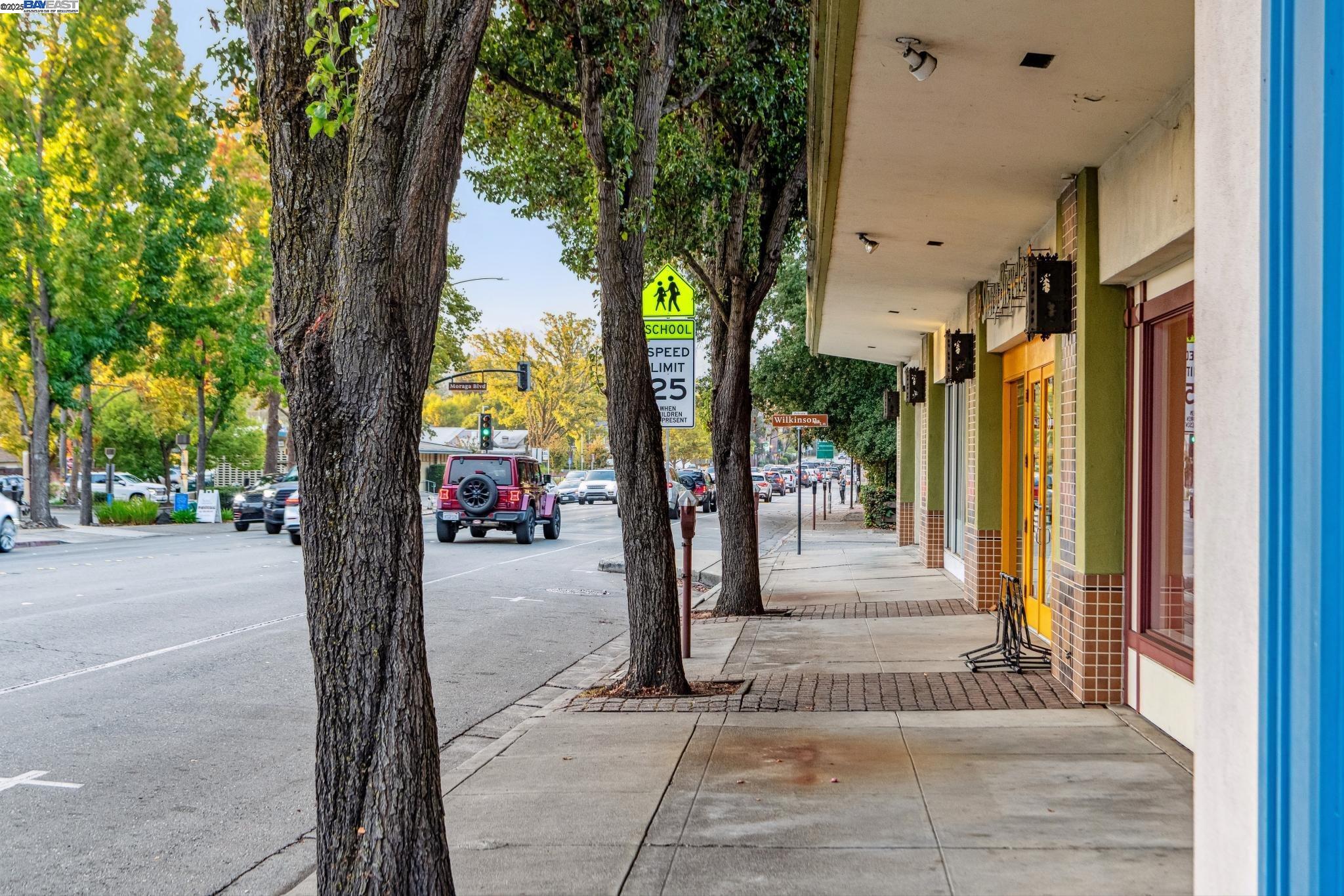 922 Brown Avenue Lafayette, CA 94549 - Photo 42 of 45 a view of a pathway of a building along with palm trees