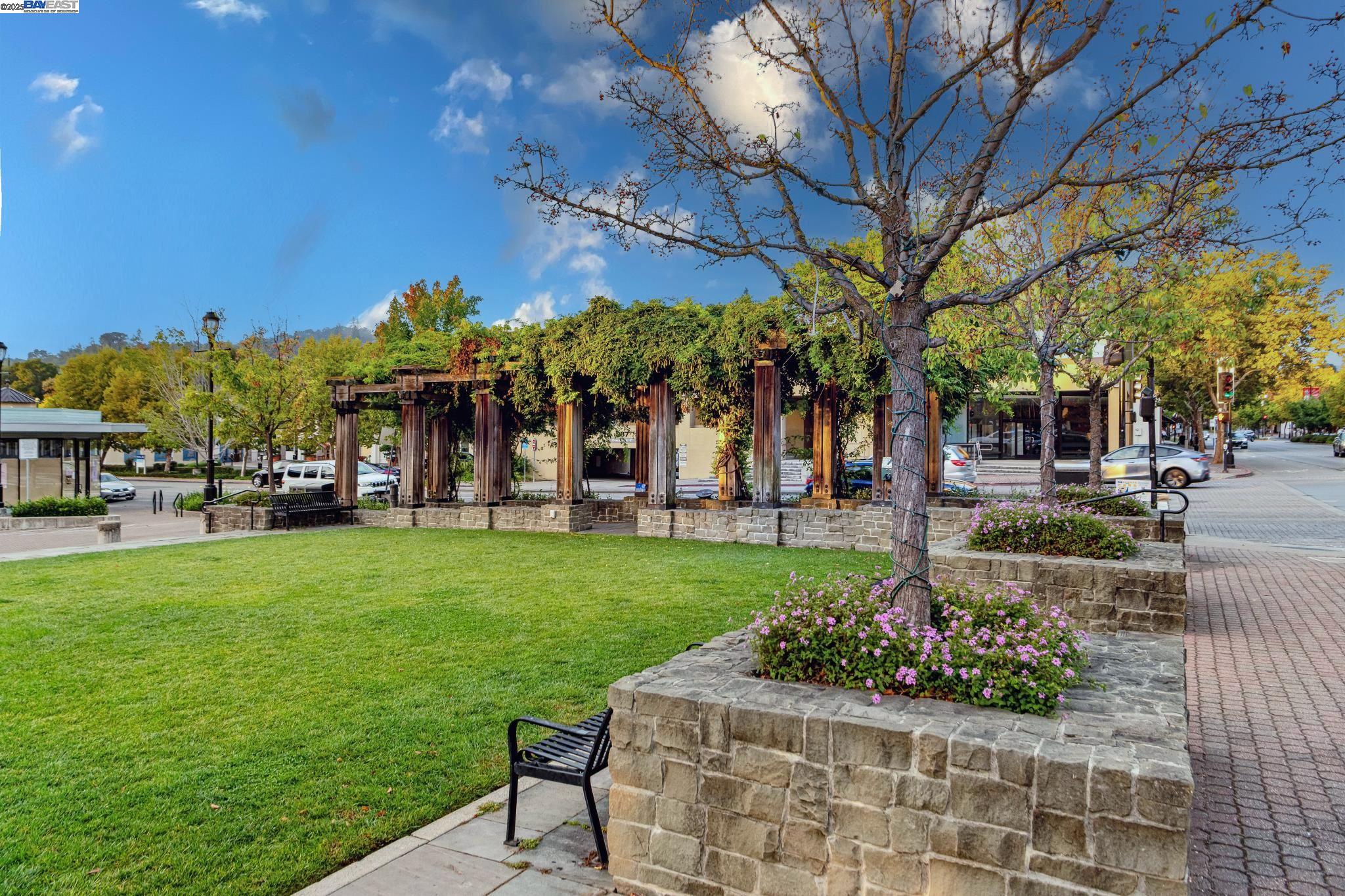 922 Brown Avenue Lafayette, CA 94549 - Photo 43 of 45 a view of a garden with an apartment
