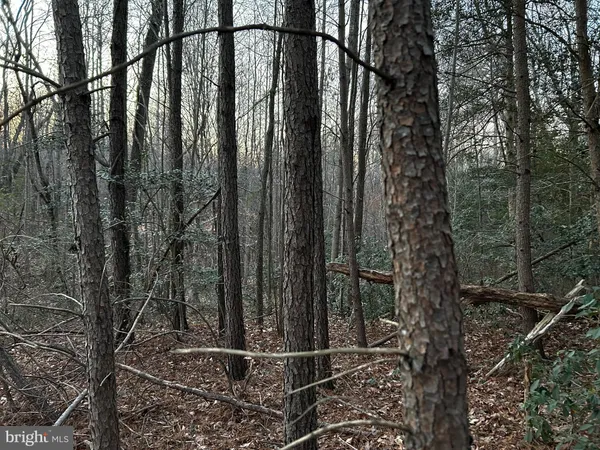 a view of outdoor space