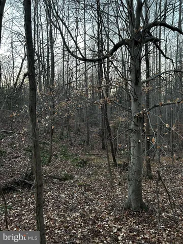 $19,900 | 0 Pratts Place, Montross, VA 22520