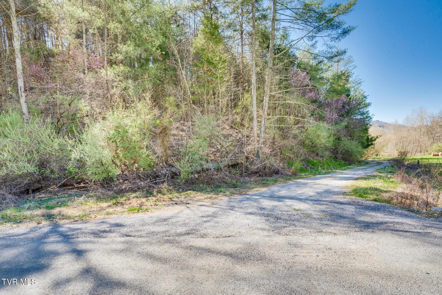Tbd Ivy Valley Road Gate City, VA 24251 - Photo 4 of 12 20230331160004871216000000-o