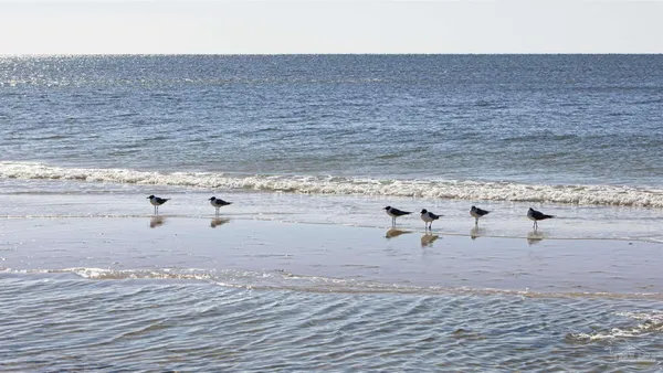 $4,500,000 | 25770 Blufton Avenue, Orange Beach, AL 36561