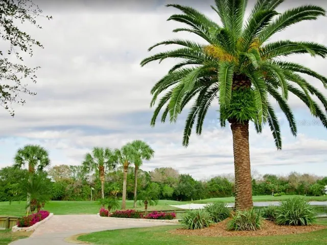 a view of a backyard of a house
