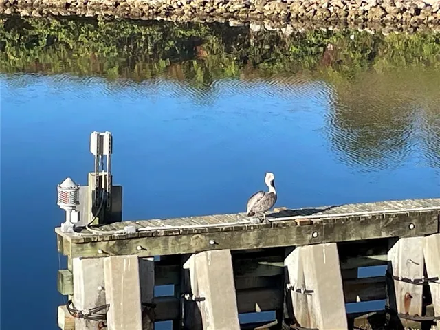 a sign that is sitting in front of a tree
