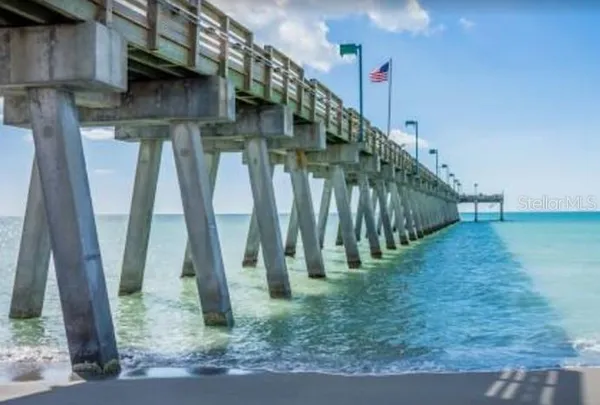 a view of a park with palm trees