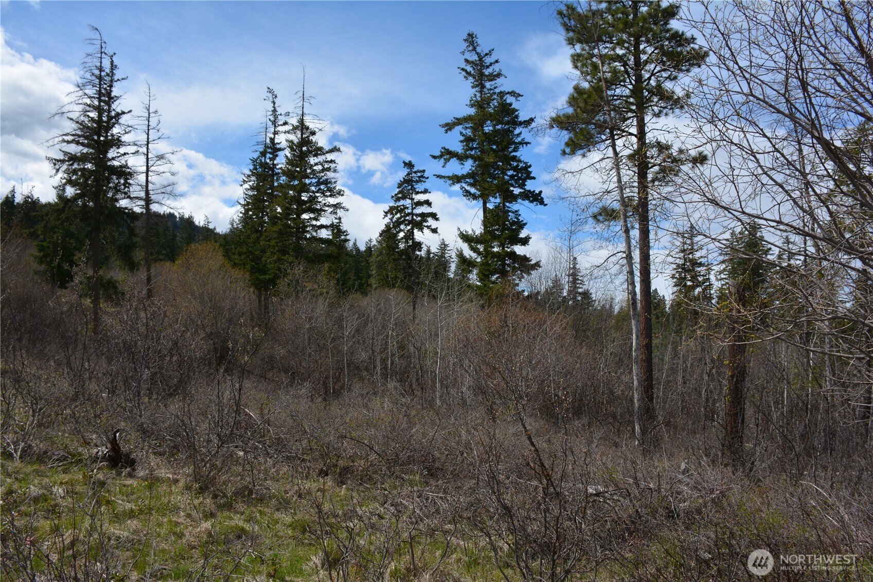 -xx Sturgis Road Cle Elum, WA 98922 - Photo 4 of 8
