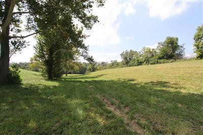 2344 Union Mill Road Nicholasville, KY 40356 - Photo 37 of 56 Photo 37