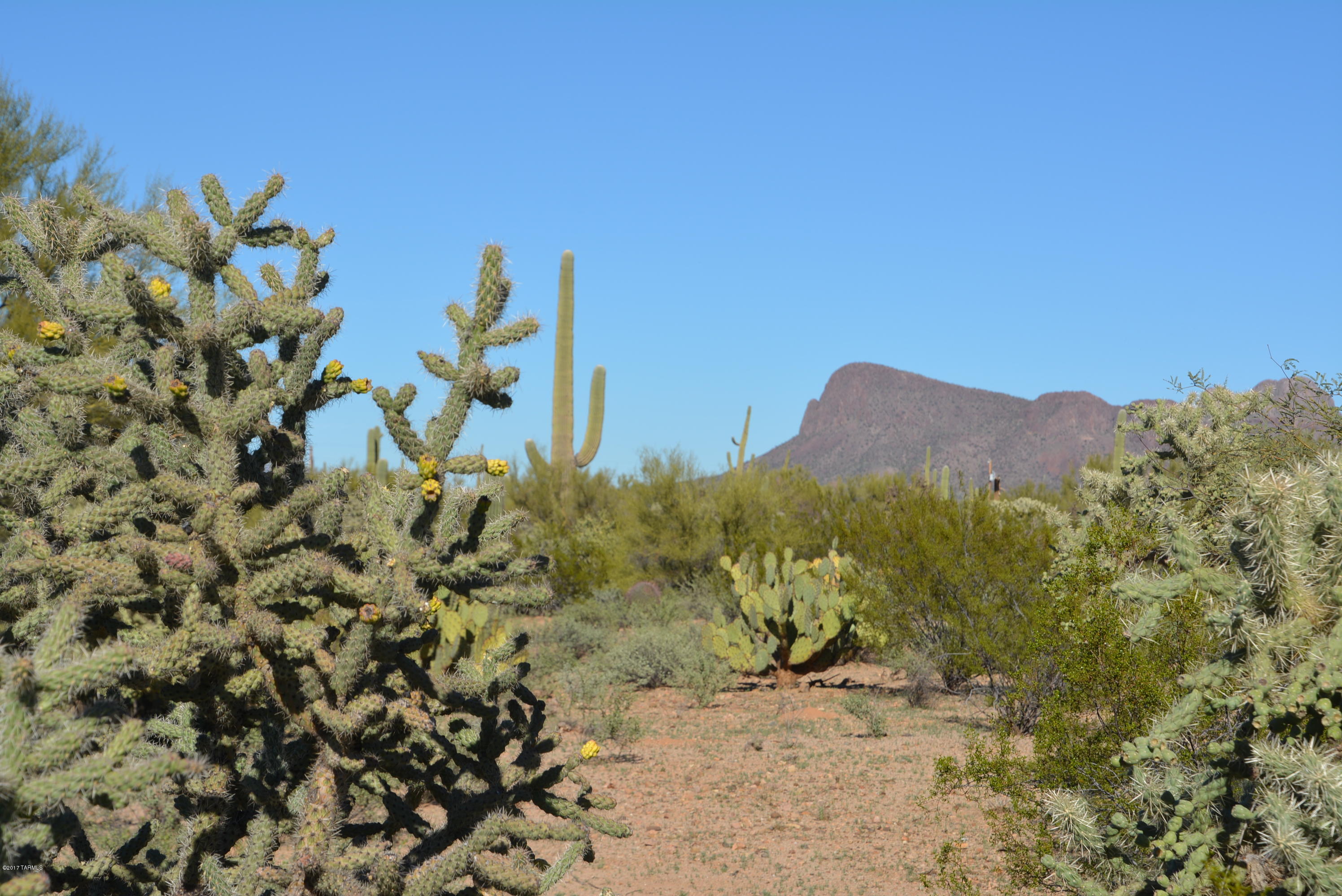 11700 West Rudasill Road, Unit LOT 4 Tucson, AZ 85743 - Photo 4 of 33