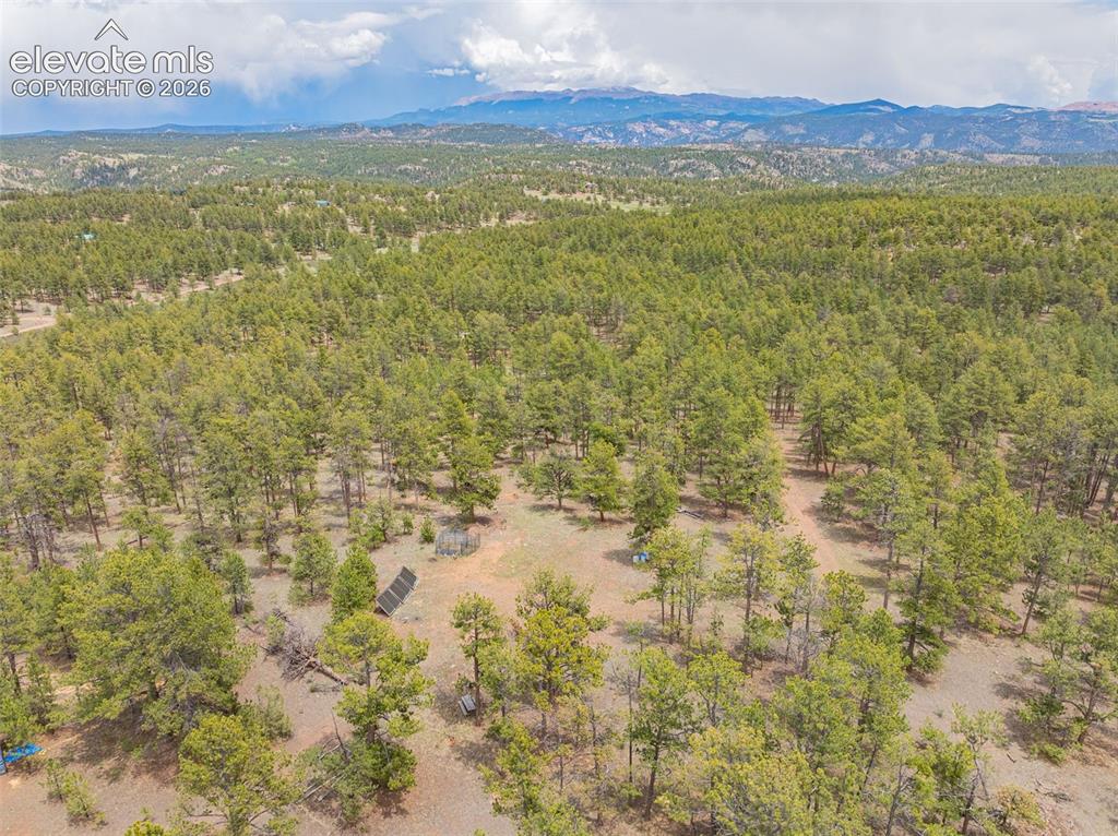 4250 Doe Valley Road Guffey, CO 80820 - Photo 28 of 35