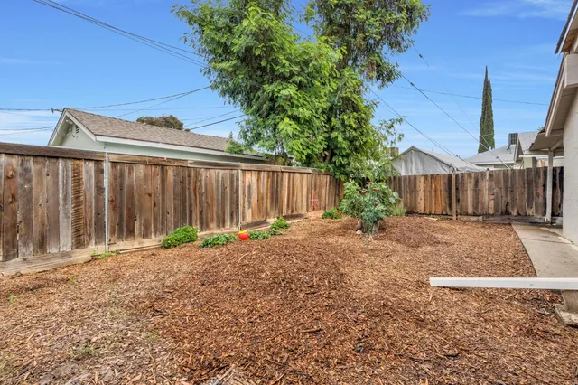 a backyard of a house with plants and tree