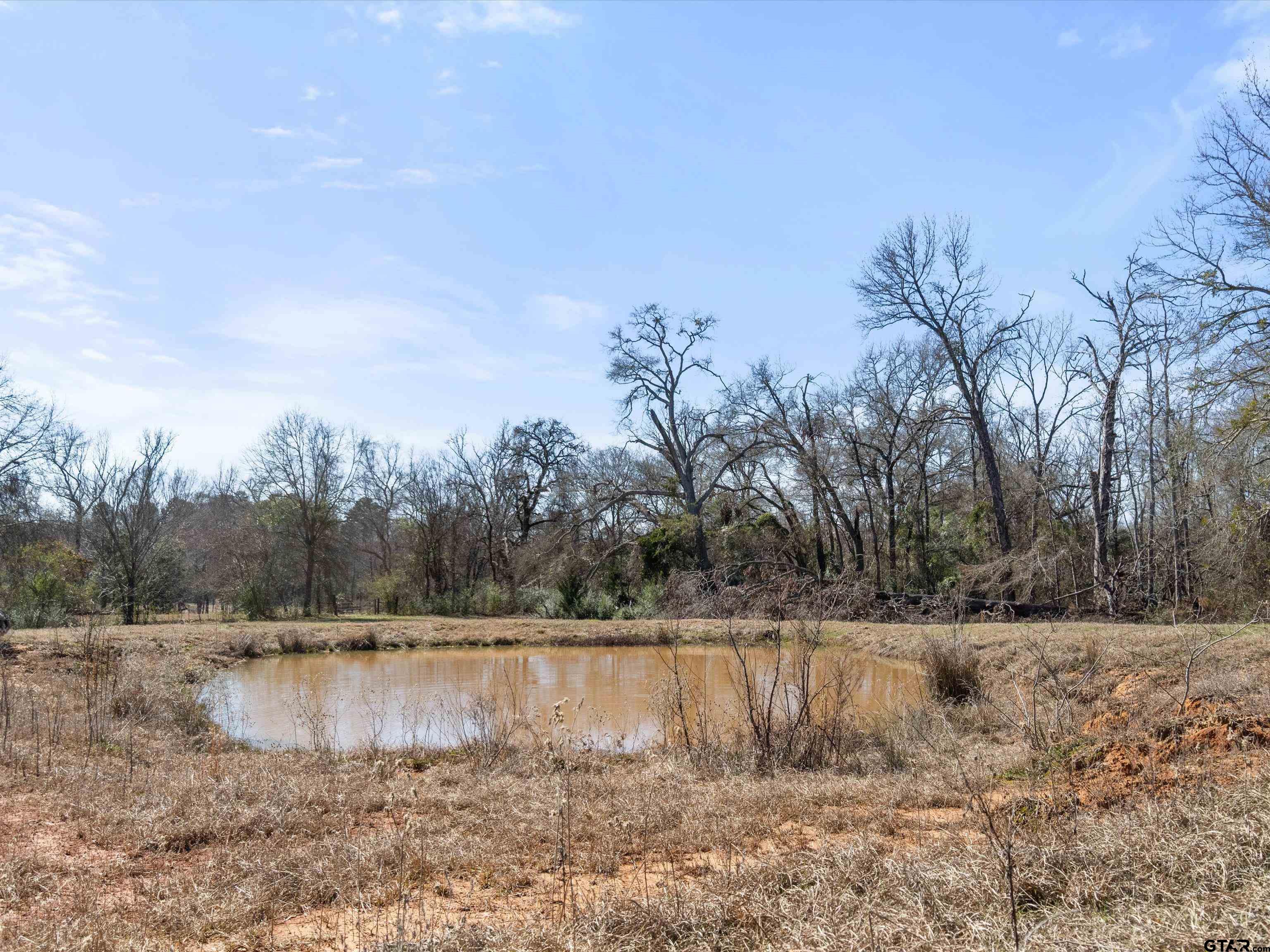 Tbd Tbd 2685th Gilmer, TX 75645 - Photo 3 of 4