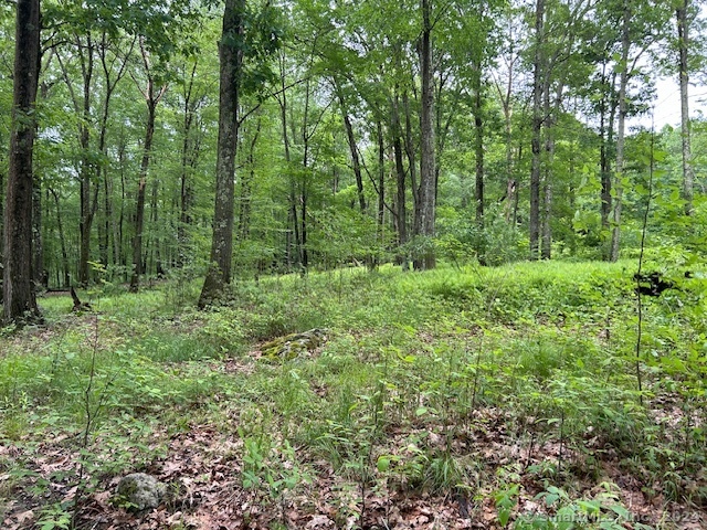 B Stawicki Road North Grosvenordale, CT 06255 - Photo 1 of 1