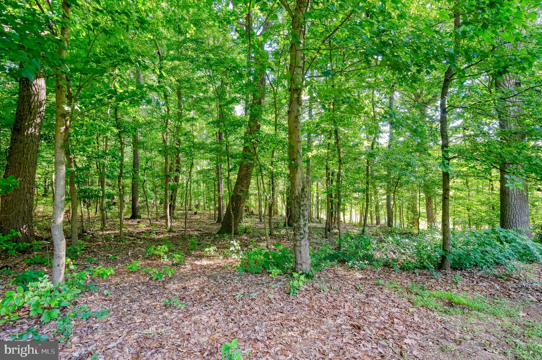 3505 St Paul Road Hampstead, MD 21074 - Photo 75 of 95